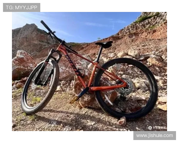 新手骑行入门全攻略从装备选择到安全骑行技巧详解