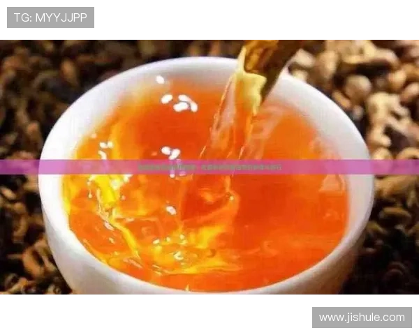 从基础规则到高阶技战术的乒乓球全面详细解读指南与训练方法解析